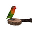 Natural Wood Pet Parrot Raw Wood Fork Tree Branch Stand Rack Squirrel Bird Hamster Branch Perches Chew Bite Toys Stick Supplies
