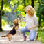 Dog Treat Hiding Toy Snuffle Ball Interactive Slow Feeder Treat Toy Slow Food Training Sniff Ball Dog Exquisite Comfortable