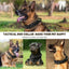 Tactical Dog Collar Leash Nylon Walking Training Pet Collar Set for Medium Large Dogs German Shepherd Dog Collar with Handle