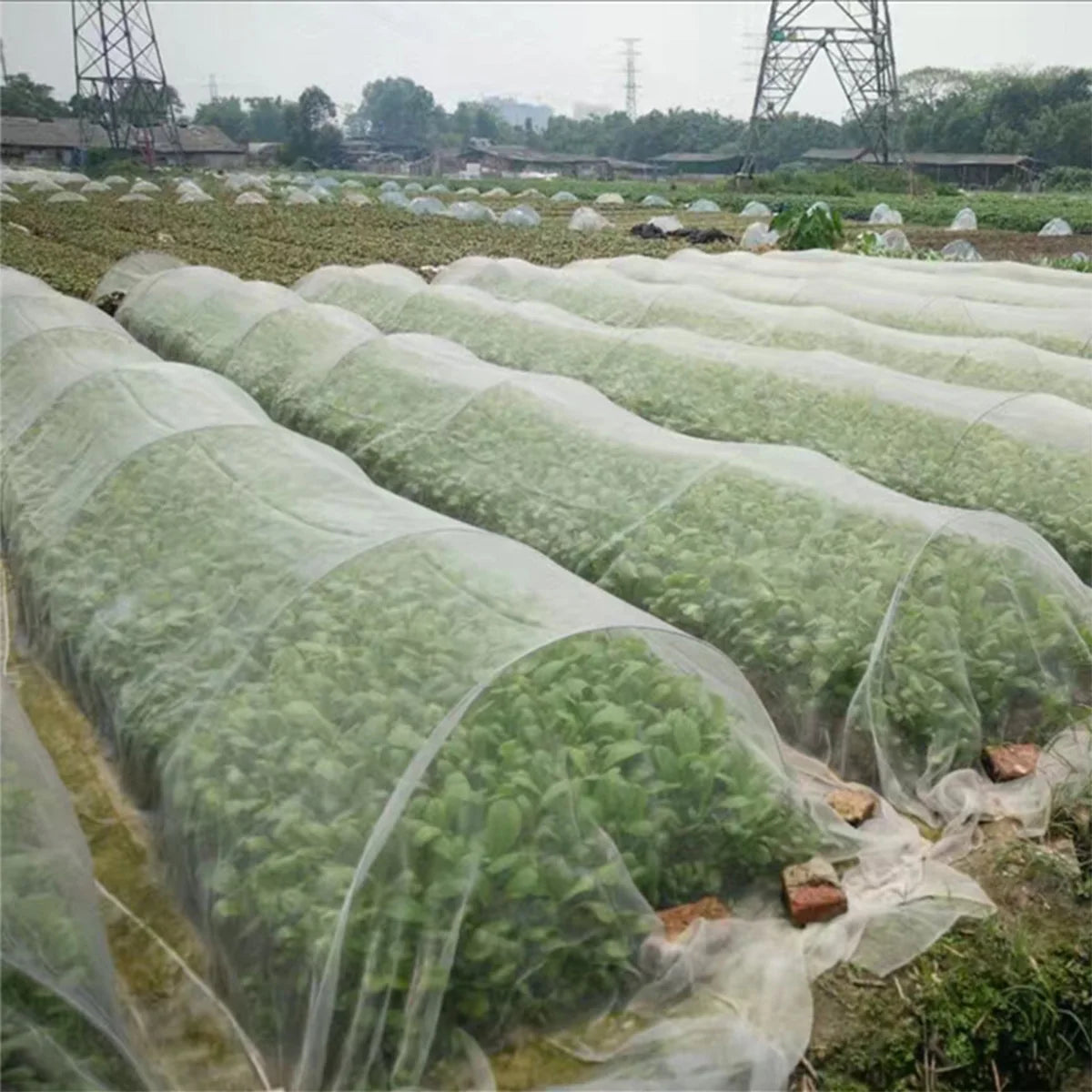 Garden Insect Protection Net Plant Vegetables Fruit Care Cover Flowers Greenhouse Pest Control Anti-Bird Protective Net 60 Meshs