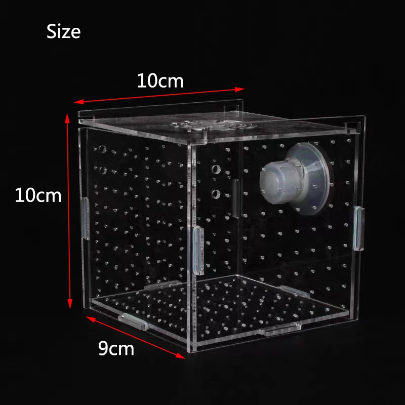 High Transparency Acrylic Aquarium Fish Breeding Isolation Box Fish Aquarium Breeder Hatching Incubator Fish Tank Accessories