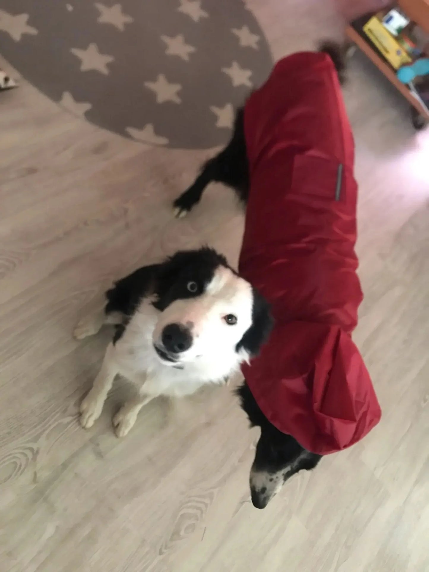 Big dog raincoat reflective waterproof windproof hooded raincoat large dog clothing outdoor raincoat  dog clothing jacket