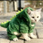 Pet Cat Dog Halloween Dog Clothes for Small Dogs Funny Dinosaur Cosplay Costume Winter Warm Cat Coat Fleece Hoodies Sweater