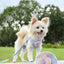 Adjustable Pet Dog Harness with 1.2m Leash Set Pet Collar Leash Outdoor Walking For Puppy Cats French Bulldog Chihuahua