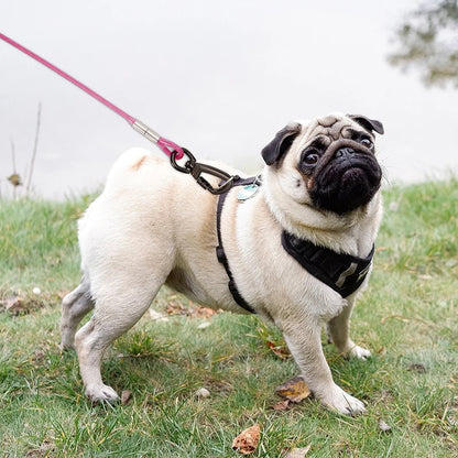 Dog Tie Out Cable Leash, Double Durable Steel, Welded Clamp, Lead, Small, Medium, Large Dogs, Outdoor Leash Belt