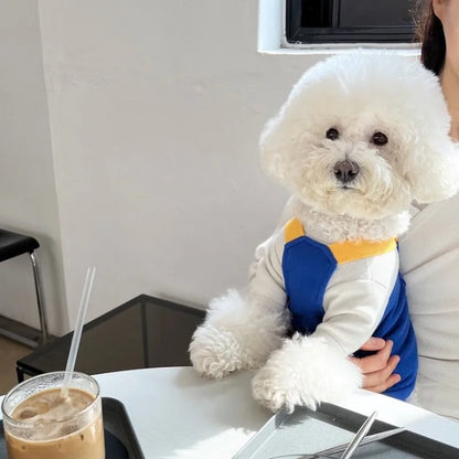 Dog Jumpsuit Summer Puppy Clothes 2024 Cute Pet Rompers Color Block Casual Dog Pants Bichon Pug Chihuahua Suspenders Dog Coat