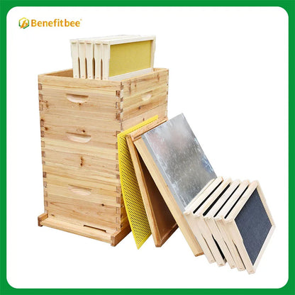 Wholesale bee hives beekeeping wooden langstroth beehive with frame