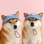 Dog Hat with Ear Holes Fashionable Denim Dog Baseball Outdoor Cap Adjustable Summer Travel Sport Hat for Small Medium Large Dogs