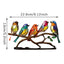 Zibi Animal Bird Ornaments Home Decoration Flowers and Birds Pendant Asia Keli Home Furnishin