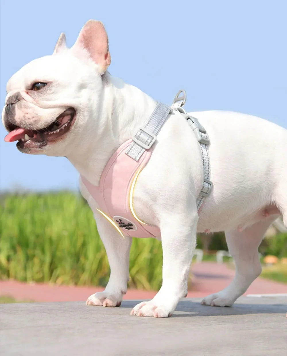 X Dog Harness and Leash Set Breathable Pet Chest Strap Reflective French Bulldog Vest Harness for Small Medium Dogs Puppy Collar