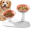 Cat Dishes For Food And Water Height Adjustable Pets Water And Food Bowl Set Large Capacity Cat Food Feeder And Waterer Set For