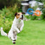 Dog Pull Toy Tough Chew Toys Indestructible Rings Dog Exercise Interactive 3 Rings Teeth Bite-Resistant Toys Puppy Teeth Clean