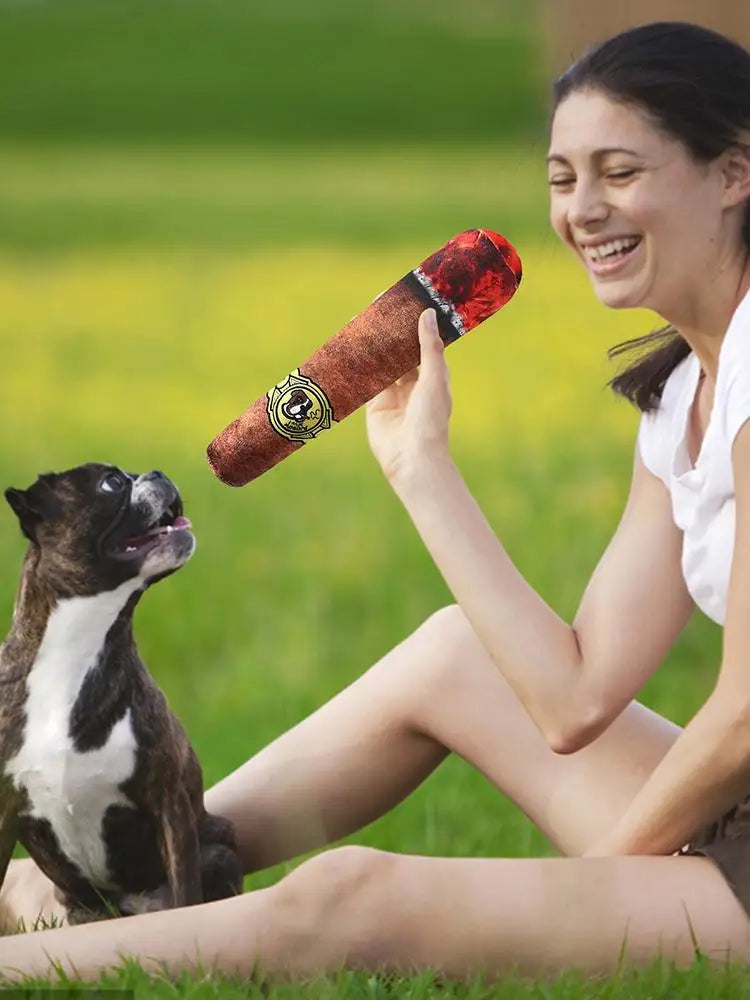 Pet Squeaky Toy Dog Teeth Cleaning Toys Sound Interactive Dog Teether Bite Resistant Funny Puppy Chewing Playing Toys