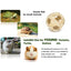 Turtle Feeding Ball Fruit Vegetable Holder with Training Skateboard 2 Treat Balls Turtle Enrichment Toys for Tortoise Turtle