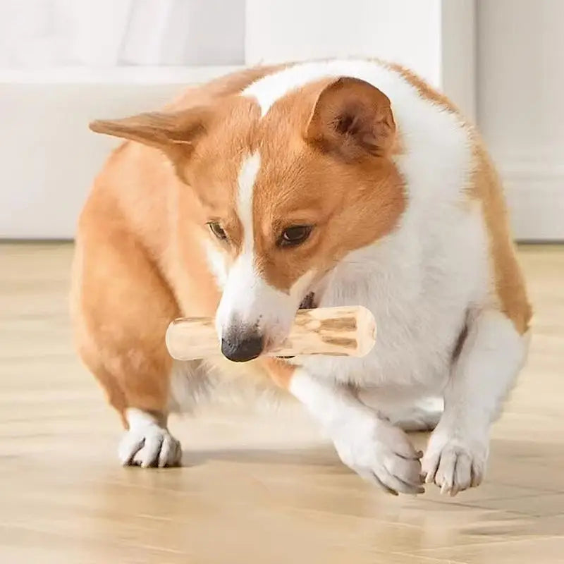 Real Wooden Dog Chew Toys Safe Interactive Pet Chew Stick Natural Dog Teeth Cleaning Hard Portable Sticks For Puppy Travel Toy