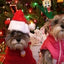 Dog Hats Christmas Santa Hat Small Dog Cat Christmas Hat Soft Small Animals Santa Claus Hat For Kitten Puppy Dogs Cats