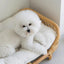 Dog bed universal cat litter pet bed rattan dog bed rattan kennels medium and small dogs winter and summer pet litter