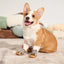 Pet Shoes Waterproof Non Slip Puppy Snow Booties for Small Dogs Chihuahua Boots for Winter Tiny Cat Shoes for Cold Weather 4pcs
