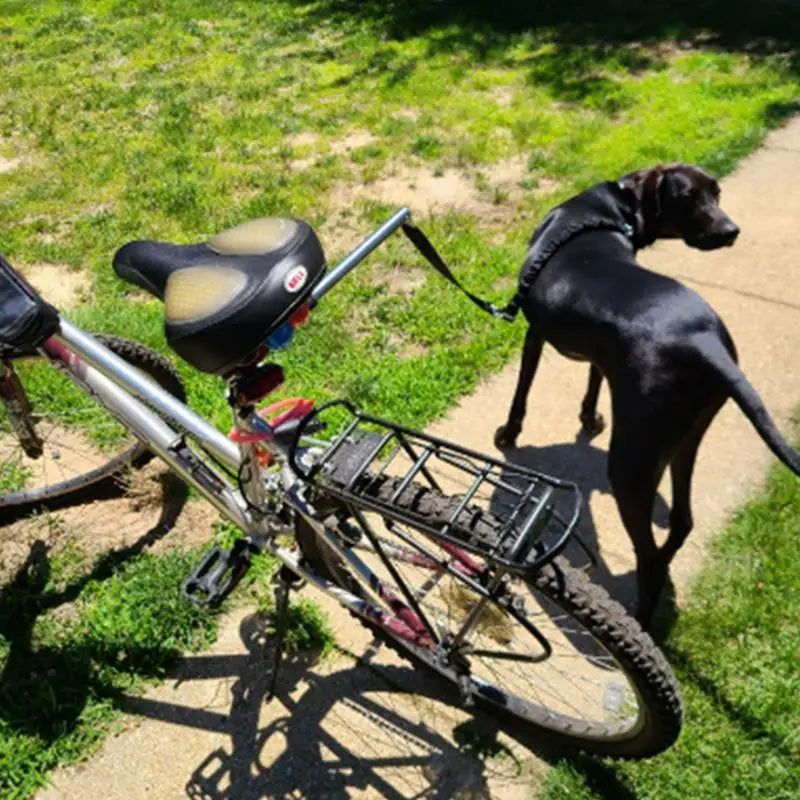 Dog Training Rope Bike Pet Lead Rope Bicycle Pet Walking Rope Adjustable Hands Free Traction Rope Safety Walking Lead For