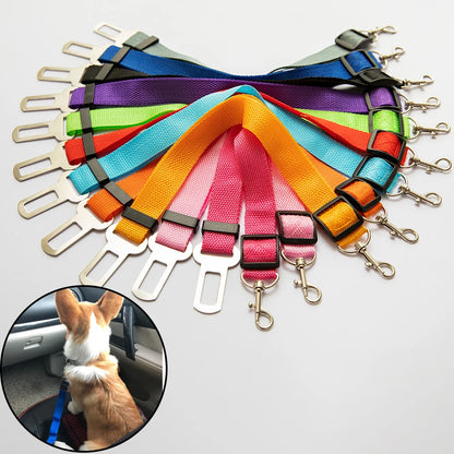 Adjustable Seatbelt Leash