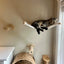 Cat Wall Mounted Climbing Shelves Cat Bed Hammock Bridge Stairway Ladders For Cat Playing & Relaxing House For Cats Tree Tower