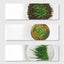 Good Quality Soilless hydroponic growing cup Lazy planting cup Hydroponic cultivation