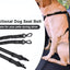 Dog Seatbelt Updated 3-in-1 Pet Car Seat Belts for Dogs Car Tether with Clip Hook Bungee Dogs Safety Belt with Swivel Carabiner