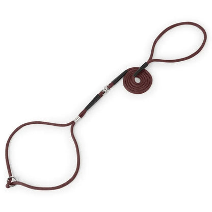 Superior Thin Nylon Slip Lead Dog Leash 5mm*120cm No Pull Pet Slip Leash for Puppy Training Adjustable Slip Collar for Small Dog