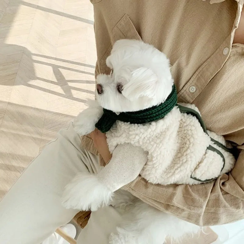 Winter Fleece Dog Clothes Pet Dog Coat and Scarf Set Chihuahua Bichon French Bulldog Costume Puppy Vest Pet Cardigan Clothing
