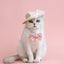 Dog Pearls Necklace Jewelry for Small Dog Puppy Cat Wedding Collar Chihuahua Yorkie Girl Pet Clothes Costume Outfits Accessories