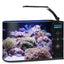 Table Curvedcurved Saltwater Marine Fish Tank Aquarium