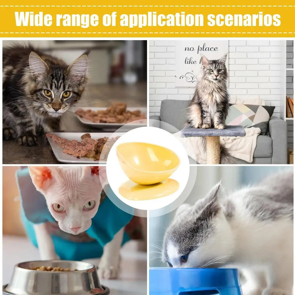 Raised Cat Food Bowl Spill Proof Cat Bowls Portable Dog Food Feeding Pet Feeder with Anti Slip Base for Indoor Cats Puppy Dogs