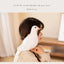 Simulation Pigeon Plush Toy Cartoon Birds Peace Dove Doll Doll Children Doll Gift Wholesale