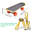 Turtle Feeding Ball Fruit Vegetable Holder with Training Skateboard 2 Treat Balls Turtle Enrichment Toys for Tortoise Turtle