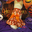 Halloween Dog Costume Funny Dog Clothes Pumpkin Print Pet Dress Chihuahua Bichon Clothing Bow Lace Festival Skirt Cat Dresses