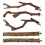 Parrot Perch 5PCS Natural Wooden Cockatiel Perch Exercise Training Branches Parrot Stand Cage Accessories For Small Or Medium