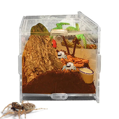 Terrarium For Reptile Snail Arcylic Breeding Box Wolf Spider Jumping Spider Snail Scorpion Durable Invertebrate Breeding Box