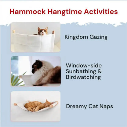Wall Mounted Cat Climb Shelf Perch and Ladder Cat Hammock and Three Step Wood Stairway for Cats Playing and Sleeping