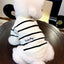 Dog Sweater for Small Dogs Luxury Dog Clothes Striped Pet Cardigan Knitted Coat Chihuahua Costume Bichon Clothing Puppy Jacket