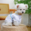 Daisy Embroidery Fancy Dresses for Small Dogs Hollow Veil Princess Party Cat Clothing York Dog New Designer Spring Puppy Clothes