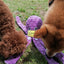 Dog Enrichment Toys，Octopus Dog Toys，Dog Snuffle Toy，Helps pets eat slowly, Dog Puzzle Game Interactive Toy，Slow Feeder Game