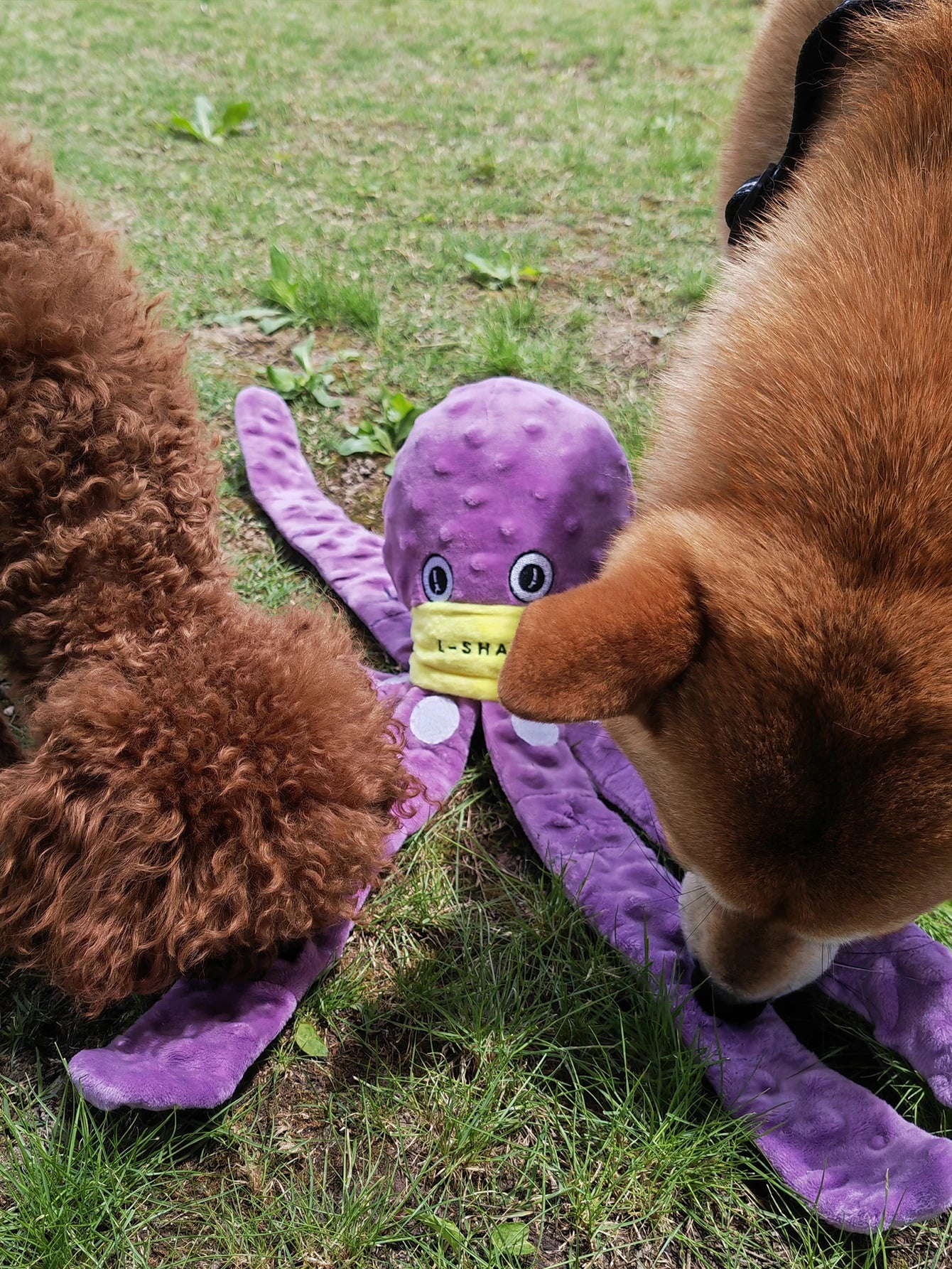 Dog Enrichment Toys，Octopus Dog Toys，Dog Snuffle Toy，Helps pets eat slowly, Dog Puzzle Game Interactive Toy，Slow Feeder Game