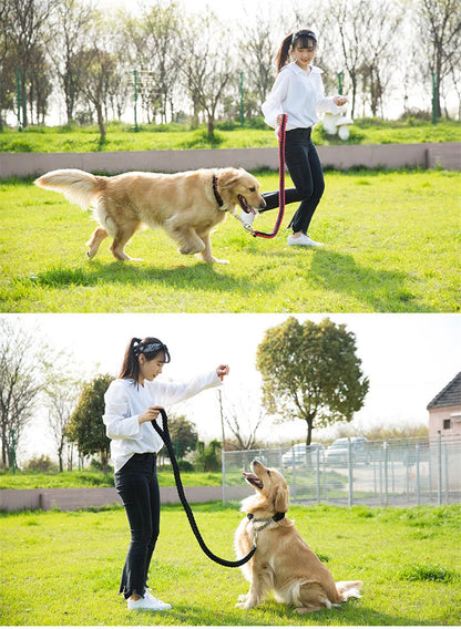 Durable Nylon Dog Collar Leash Set Traction Rope Medium Big Dog Walking Accessories Labrador Husky P-Chain Travel Pet Products