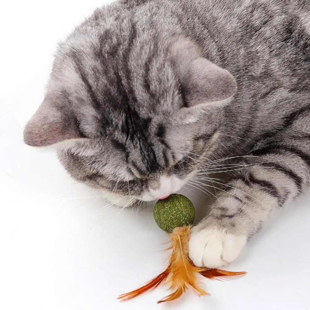 Catnip Ball Feather Cat Toy Ball Feather Cat Tooth Cleaning Cat Toy Catnip Ball Interactive Chew Catnip Pet Supplies
