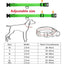 LED Glowing Dog Collar Adjustable Flashing Rechargea Luminous Collar Night Anti-Lost Dog Light HarnessFor Small Dog Pet Products