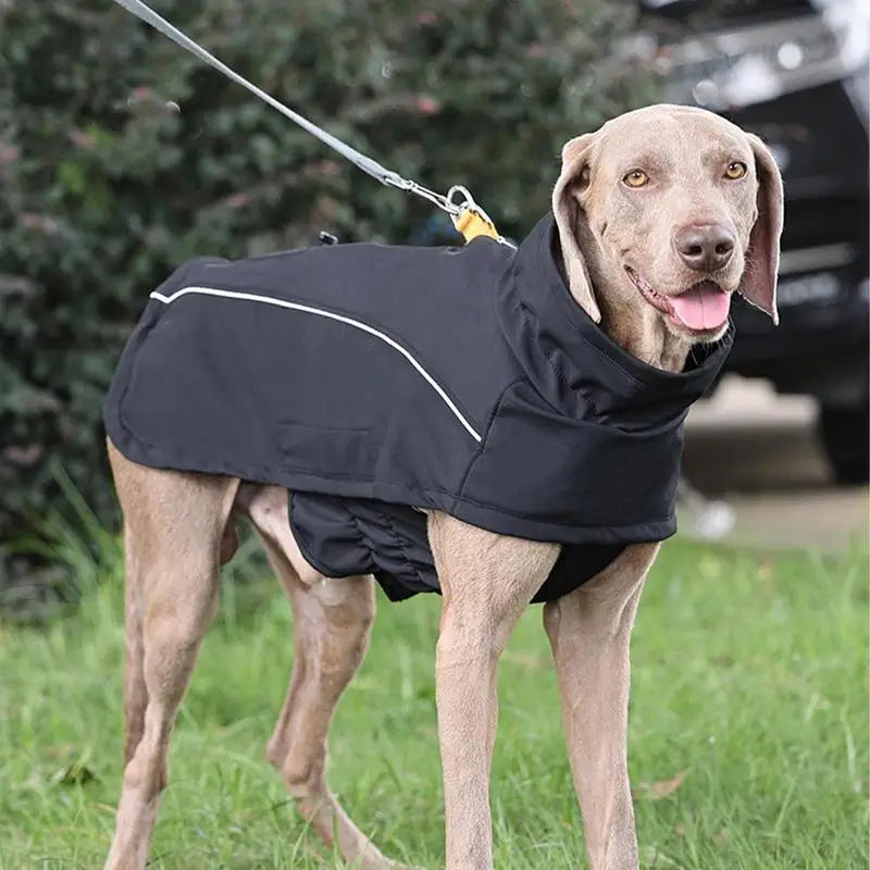 Dog Cold Weather Jackets Waterproof Dog Winter Clothes Comfortable Adjustable Dog Clothes Stylish Reflective Pet Supplies For