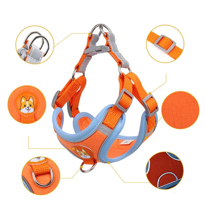 Step-in Dog Harness Small Dog Harness and Leash Set Adjustable Reflective Pet Dog Vest Soft Harness for Puppy Small Medium Breed