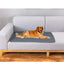 Dog Pet Pet Accessories Washable Reusable Training Pad Urine Absorbent Waterproof Diaper Mat Car Seat Cover