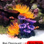 Artificial Aquarium Decoration Shelter Ornament Submarine Decor Resin Landscaping House for Fish Accessories for Aquarium Stuff
