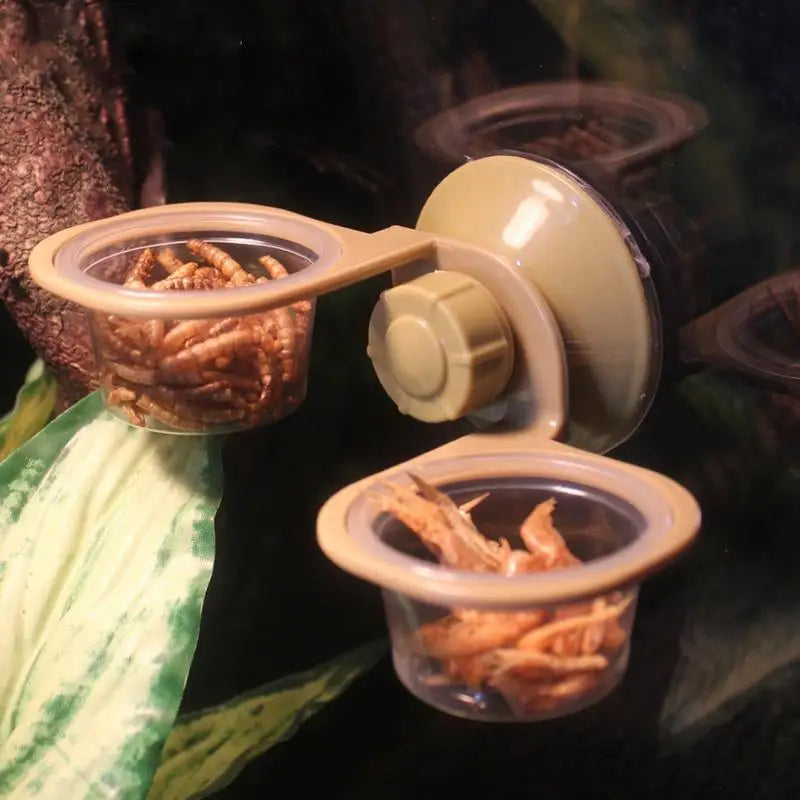 Reptile Feeder Suction Cup  Double Bowl Gecko Feeder Reptile Feeding Cup Chameleon Feeding Food Bowl For Reptiles Food And Water